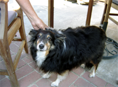 Matilda
